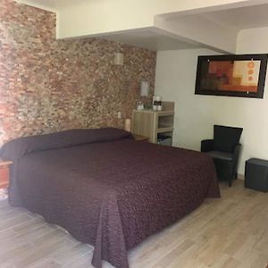 Suite Junior